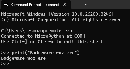 MicroPython REPL showing a printed Badgeware message