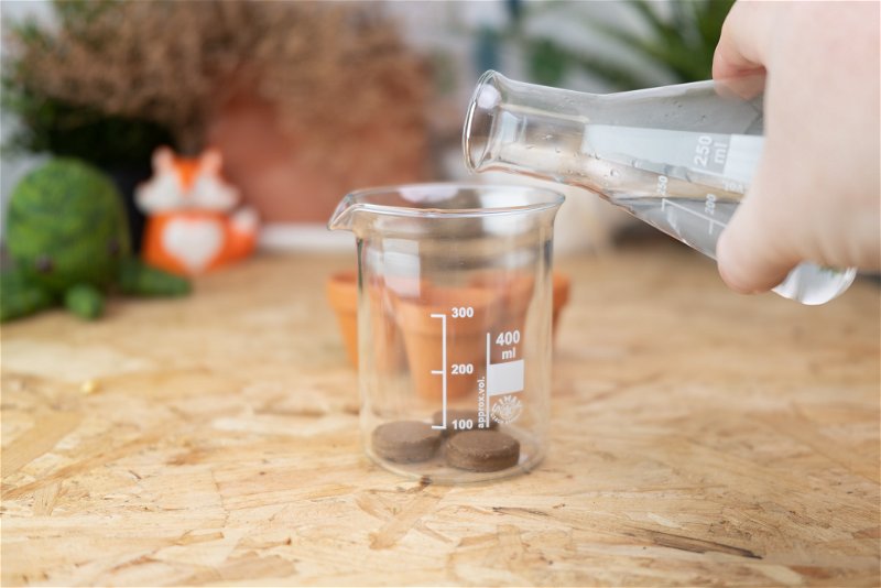 Adding 100ml of water to Cocopress tablets