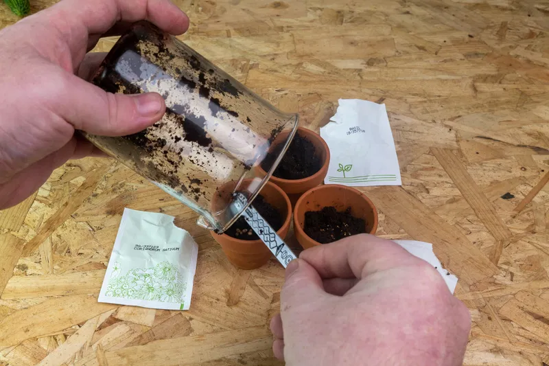 Adding seeds to plant pots