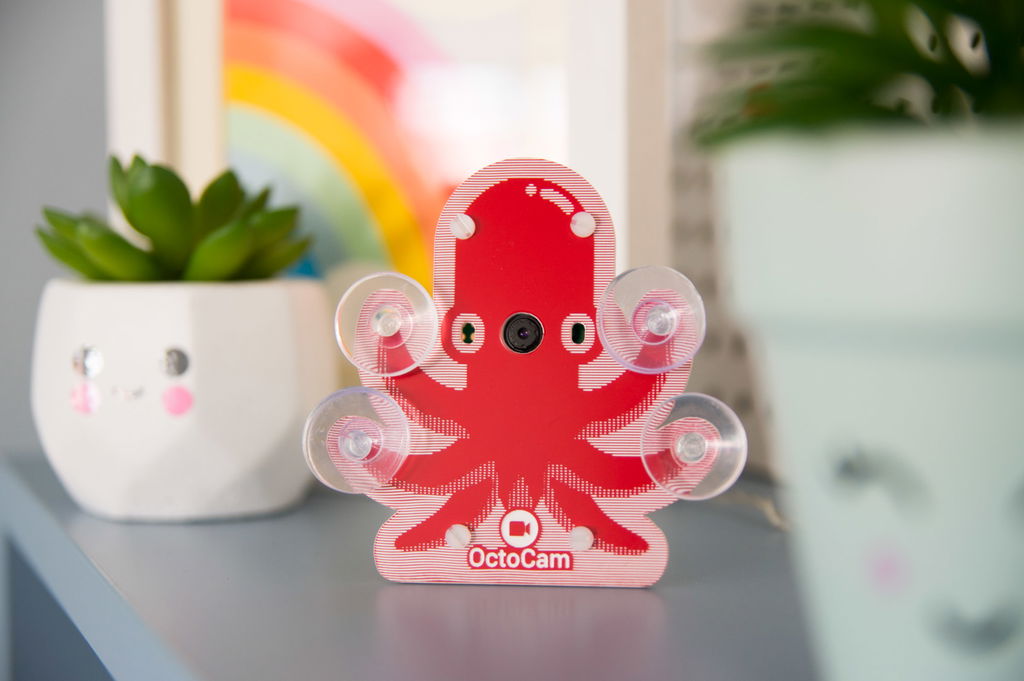 motionEye OS on your OctoCam