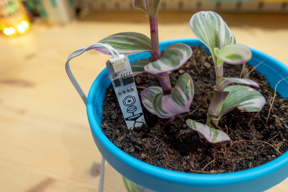 Putting the moisture sensor in the pot